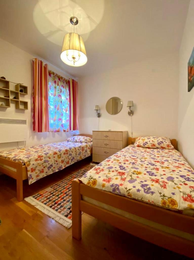 Apartment Liza Petrovac Eksteriør billede