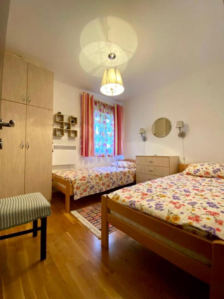 Apartment Liza Petrovac Eksteriør billede